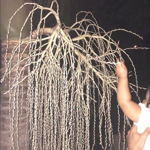 Meet your Posher, Delfina